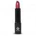 LABIAL 42